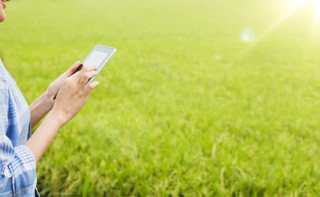Farmer businesswoman uses laptop communication network to grow modern rice export abroad online commerce rice exporting business uses analytical inspection technology jasmine riceの写真素材
