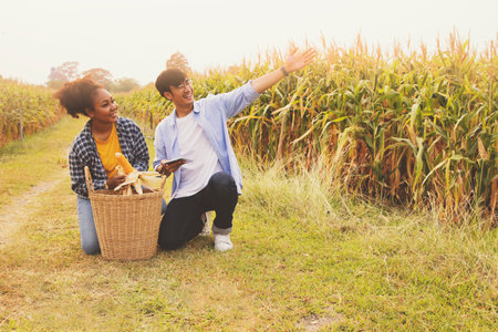 Asian farmer couple and an African American woman in love grow corn cash crop bragging about the success of the nearharvest farming : Couple's corn farm happiness conceptの写真素材