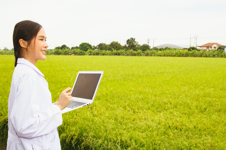 Female researcher asian agricultural sciences holding laptop inspects rice fields to develop rice varieties to withstand the topography of cultivated areas and achieve perfect growの写真素材