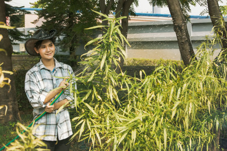 Asian female worker caring for a cannabis plant stands holds hose to water the cannabis plant for the afternoon humidity in the outdoor garden : Legal open system cannabis cultivatの写真素材