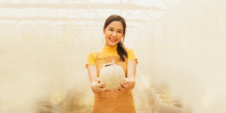 Portrait young asian melon farmer proudly carrying juicy, delicious japanese green melons in japanese melon farming business in organic shed and making money.の写真素材