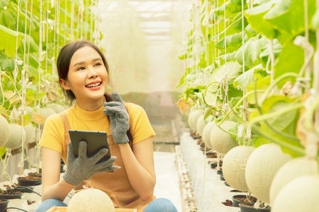 Asian female  trader farmer holding tablet, selling melon fruit online proudly uses technology in Japanese melon farm business investing in farmhouse organic farming and generatingの写真素材