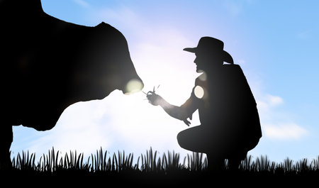 Farmer feeds the cows during lunch time : Silhouette male farmer sitting lovingly feeds hay to the cows raised in the middle of the pasture, expressing love and warmth with happineの写真素材