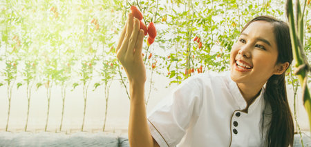 Portrait asian female chef working in a hotel kitchen restaurant appreciates the bright red organic cherry tomatoes grown in the greenhouse as a great, nutritious ingredient in cooの写真素材