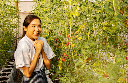 The pride of the female chef of the hotel restaurant inspecting the organic cherry tomato farm that produces beautiful produce that is safe from chemicals for food and nutritionalの写真素材