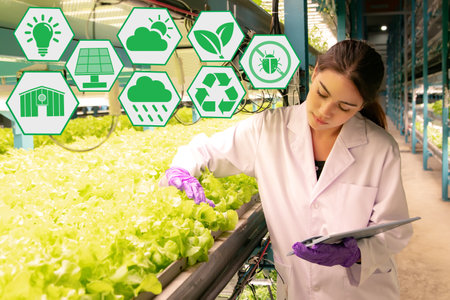 Beautiful employees take care of a hydroponic vegetable farm grown in a closed indoor clean room quality system using Led Grow lights solar cells, innovative post-growing technologの写真素材