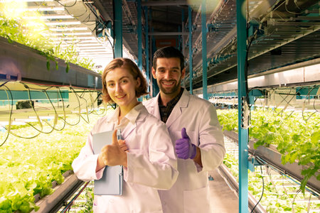 Male and female researchers farm quality indoor hydroponics vegetables using Led Grow Lights built from solar panels growing healthy. chemical free raising hands thumbs up lookingの写真素材