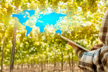 Female farmer's hand holding tablet using modern technology vineyard growing ready to harvest communicating in the social media world disseminating pictures and news on thefarm toの写真素材