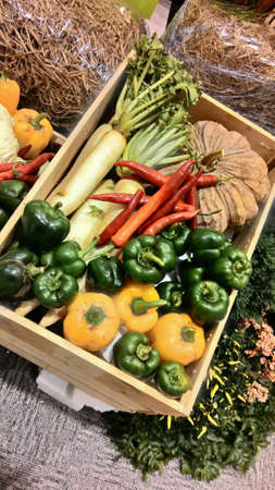 Vegetableの素材