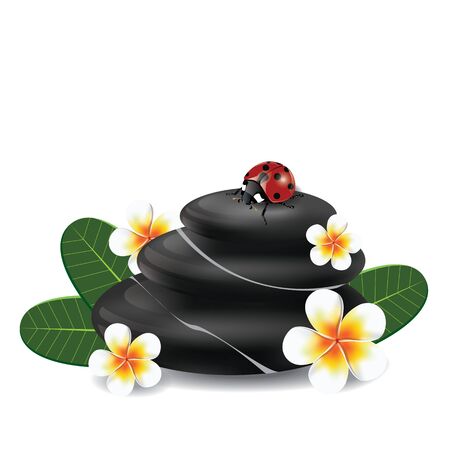 illustration. spa concept with zen stones and frangipani flower on white background.のイラスト素材