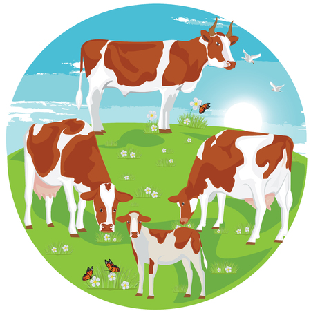 illustration. Brown cow on pasture.のイラスト素材