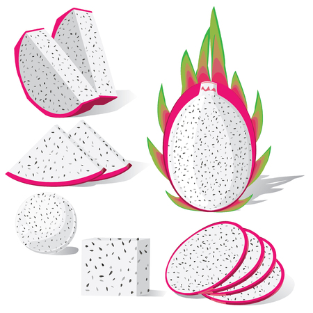 illustration dragon fruit on white background.のイラスト素材