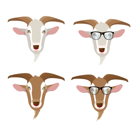 goat faces.のイラスト素材