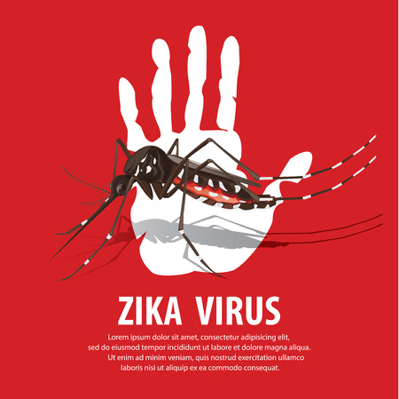 zika virusのイラスト素材