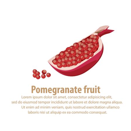 pomegranateのイラスト素材