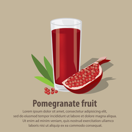 Pomegranate fruitのイラスト素材