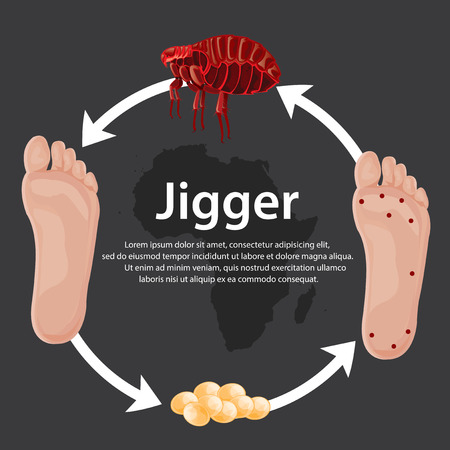 illustration . animal. Big jigger color Redのイラスト素材