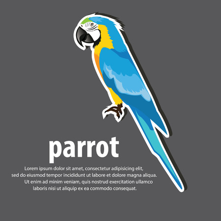 Cartoon parrots wild animal birds. Tropical parrots feather zoo birds, tropical fauna macaw . Brazil Macaw color blue . vector illustration.のイラスト素材