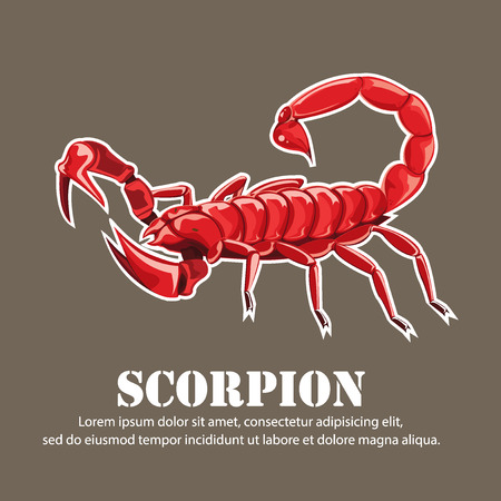 Vector scorpionのイラスト素材
