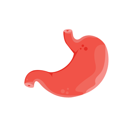 stomach iconのイラスト素材