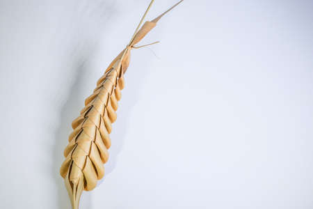 Thailand decorated palm typical on Palm Sunday on isolated backgroundの写真素材