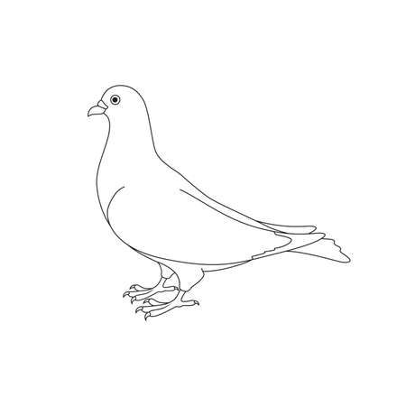 Beautiful silhouette of a doveのイラスト素材