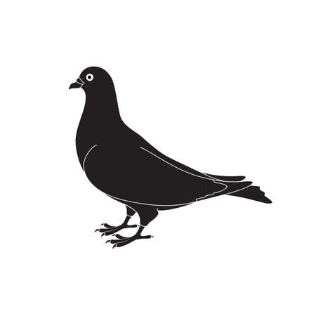 Beautiful silhouette of a doveのイラスト素材