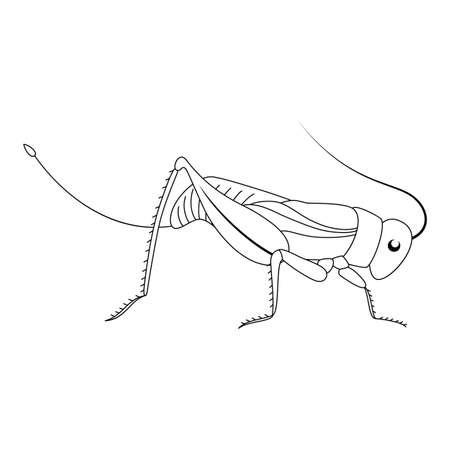Cute white cartoon grasshopper. Beautiful vector illustration.のイラスト素材