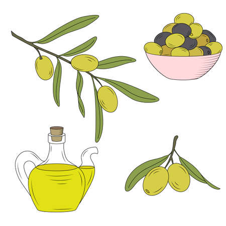 Bottle of oil and the branch of the olive tree.のイラスト素材