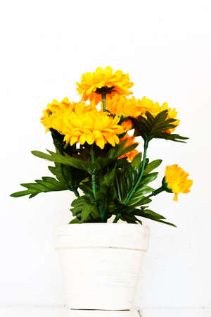 The yellow flower is vase on a white background.の写真素材