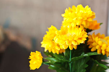 Close up the yellow flowerの写真素材
