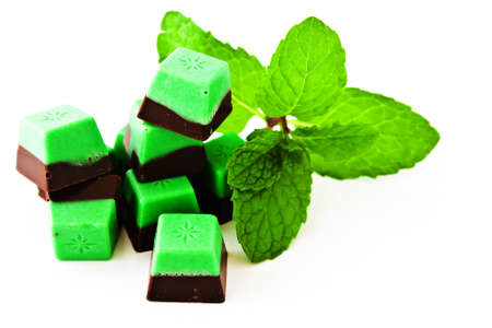 Chocolate mint and mint isolated on white background 