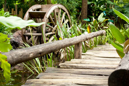 Landscaping in the garden. The path in the garden.の写真素材