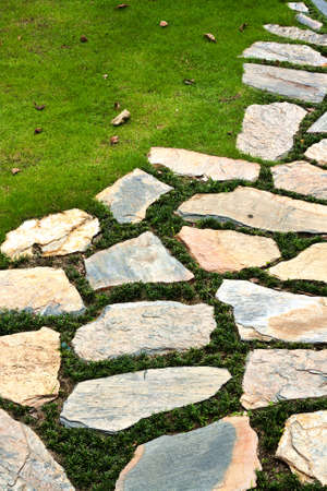 Green grass and stone background