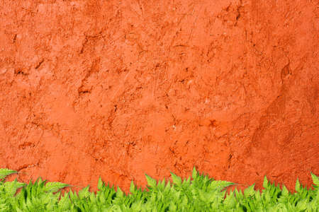 green grass frame isolated on white background の写真素材