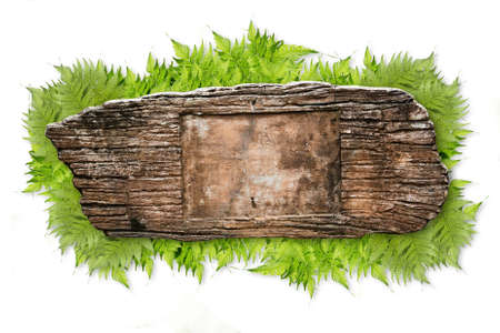 Grunge sign post on green grass isolated on white backgroundの写真素材