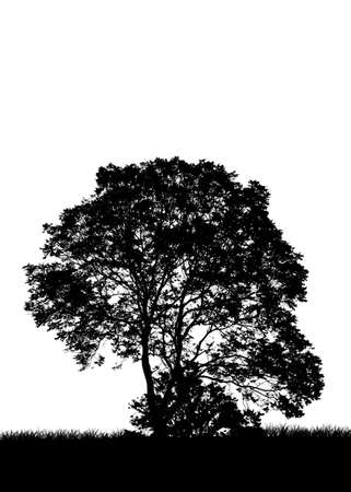 tree silhouette, flowers and grass, black and white  shapeの写真素材