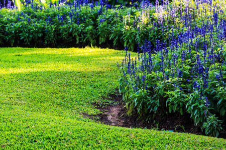 Landscaping in the garden. The path in the garden in asian styleの写真素材
