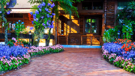 Landscaping design. The path in the garden  in asian styleの写真素材