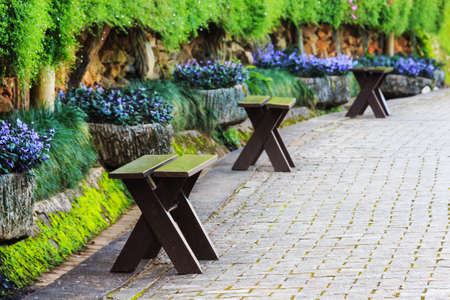   bench in Beautiful park with pathway