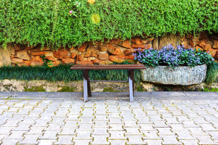   bench in Beautiful park with pathway