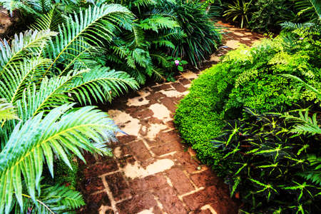 Landscaping in the garden. The path in the garden asian style