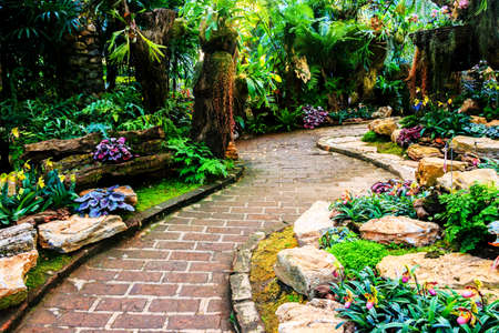 The path in the garden.の写真素材