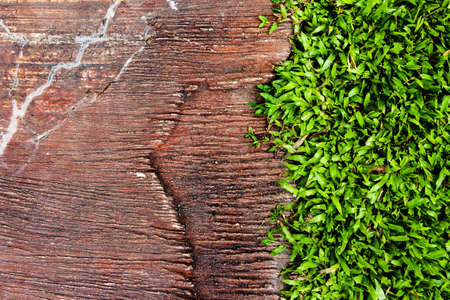 Stone and grass backgroundの写真素材