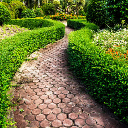 Pathway in gardenの写真素材