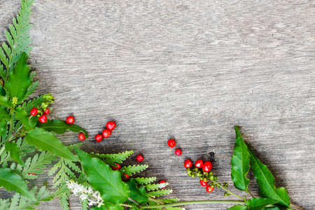 Green leaves on wood backgroundの写真素材