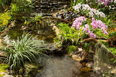 Waterfall in garden design.の写真素材