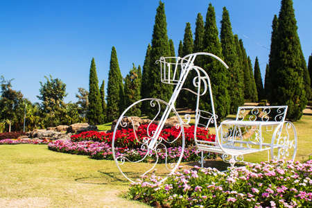 Vintage tricycle in beautiful garden design.の写真素材