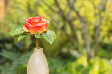 Artificial roses in a white vase against blurry nature backgroundの写真素材