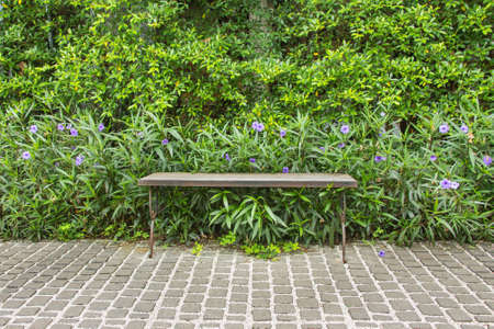 Bench against lush background in English garden design.の写真素材